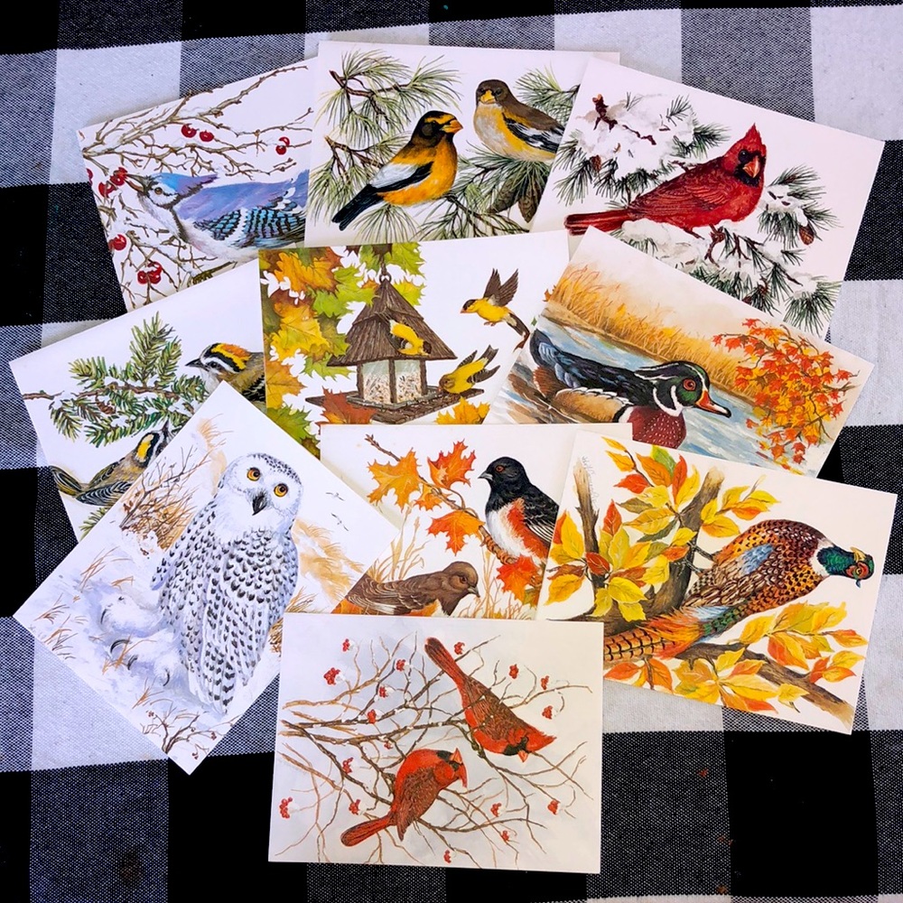 Vintage made in USA John Cornacchio blank greeting cards with envelopes.